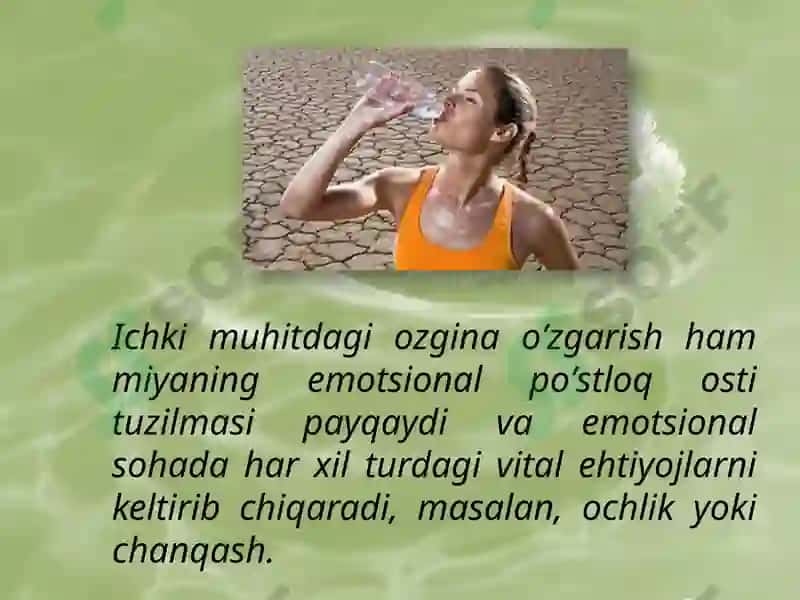 Emotsional holatlar 4
