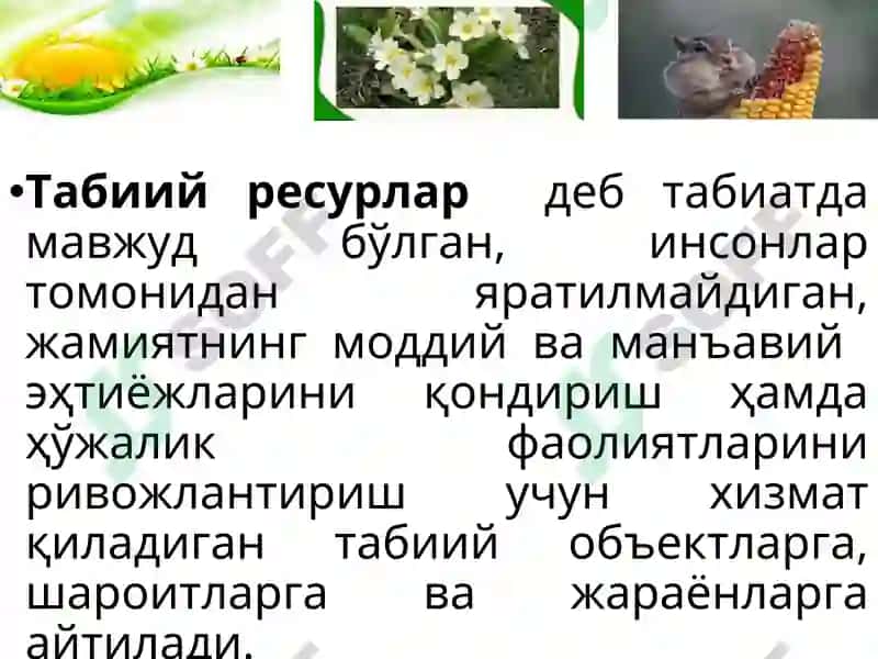 Табиий ресурслар ва ularning turlari 4