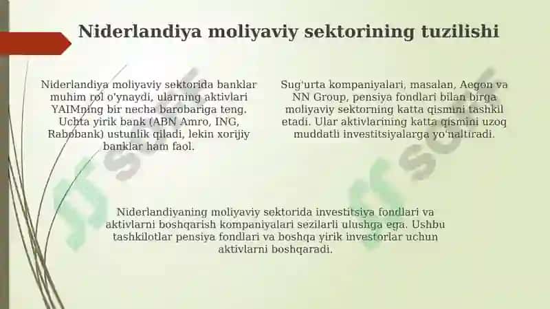 Niderlandiya xalqaro moliyasi 4