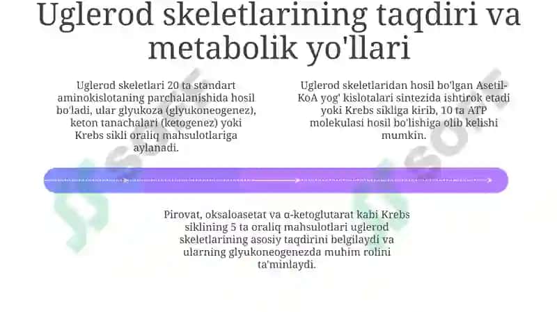 Alohida aminokislotalar almashinuvi 4