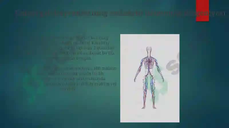Umurtqali aʼzolar tizimi filogenezi 4