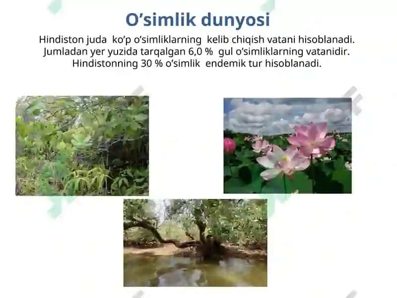 "Hindiston" mavzusida tayyorlagan dars taqdimoti 4