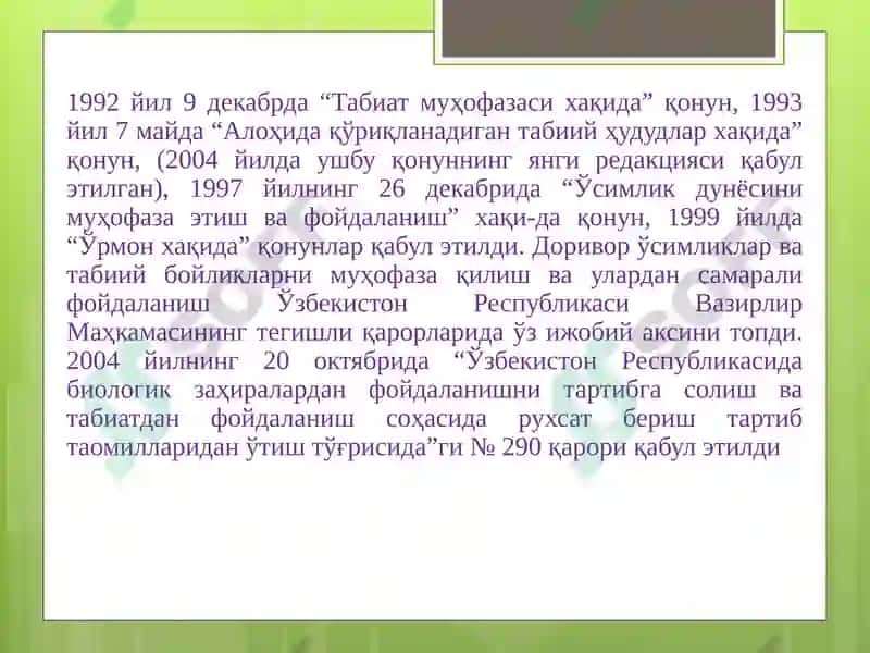 Доривор ўсимликлари 4