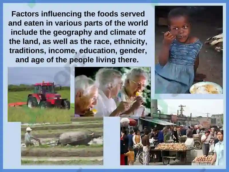 Local food of different countries 4