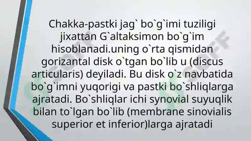 Chakka pastki jag' bo'g'iming tuzilish xususiyatlari. 4