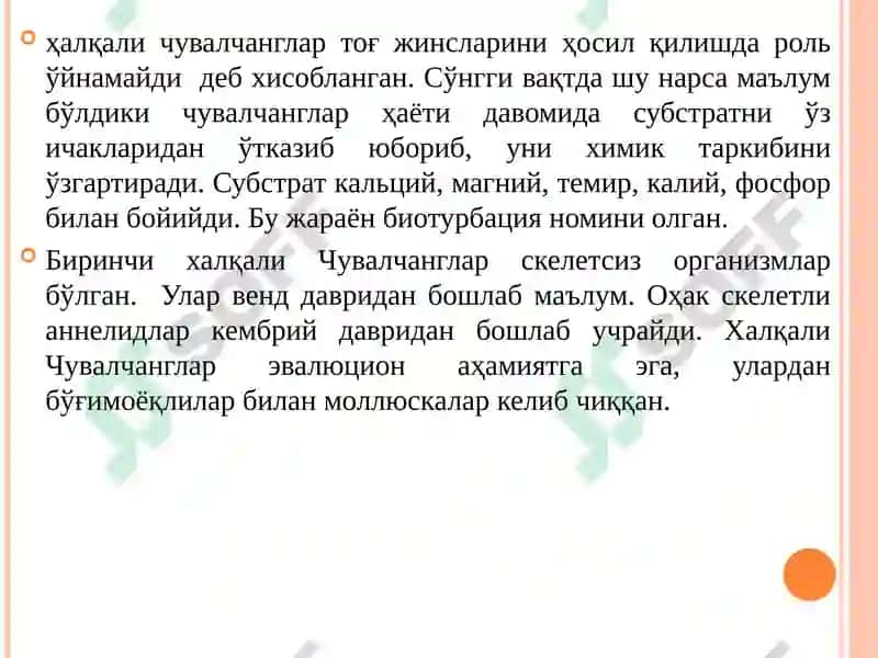 Халқали чувалчанглар тури 4
