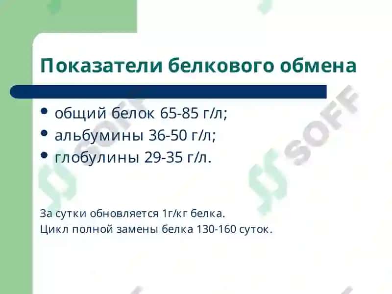 Лекция 9 Патофизиология 4