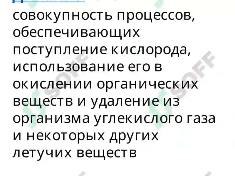 Система органов дыхания 4