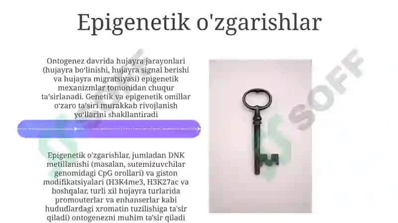 Dizontogonezning asosiy parametrlari 4