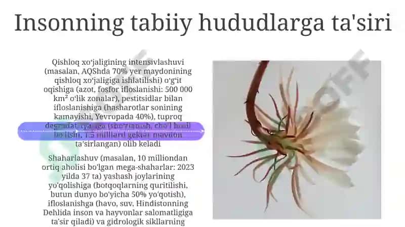 Materiklarning tabiat mintaqalari 4