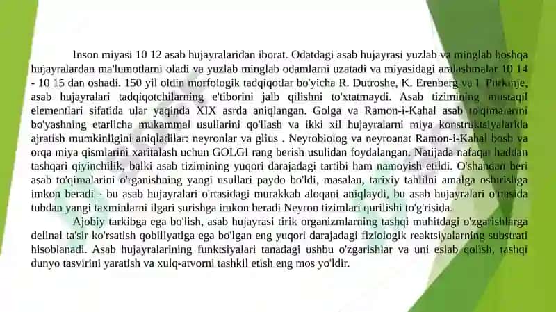 Nerv tizimi Neyron tarmoqlari 4