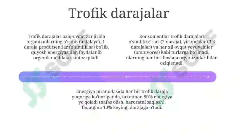 Oziq-ovqat zanjiri va trofik darajalar 4