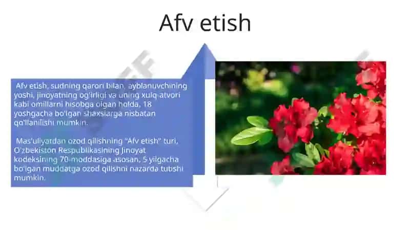 Zarur mudofaa huquqiy me’yorlari 4