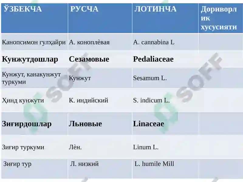 Толали доривор ўсимликлари 4