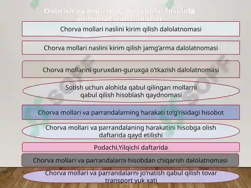 O’stirishdagi va boquvdagi hayvonlar hisobi 4