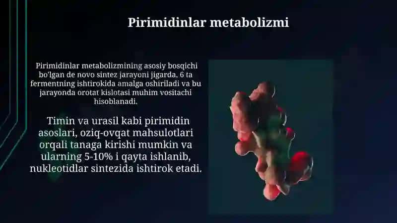 Nuklein kislotalar metabolizimi 4