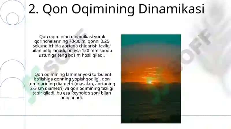 Yurak biomexanikasi elementlari 4