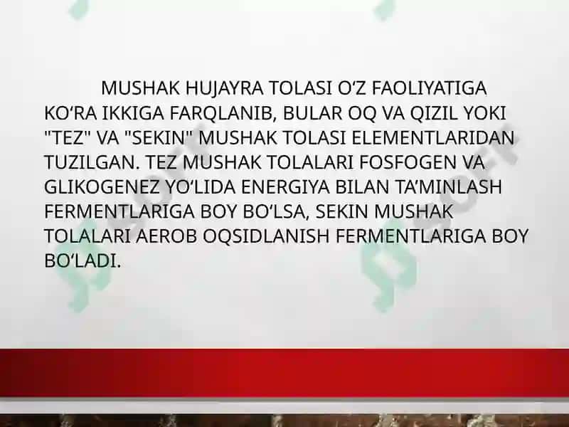 Bolalarda mushak tizimi 4