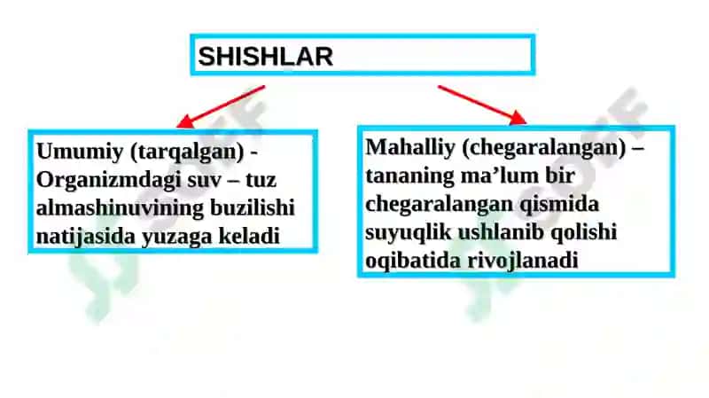 ANGIONEVROTIK SHISHI 4