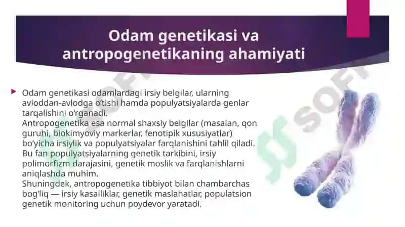 Antropogenetika usullari biokimyoviy va sitogenetik usul 4