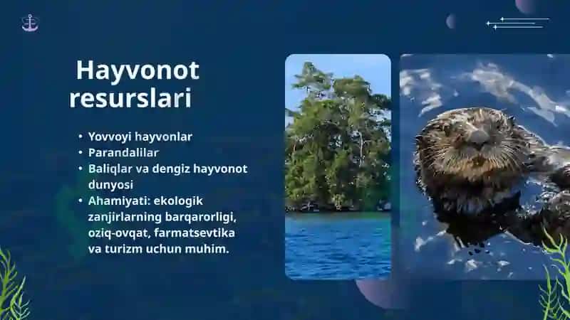Biologik Resurslar 4