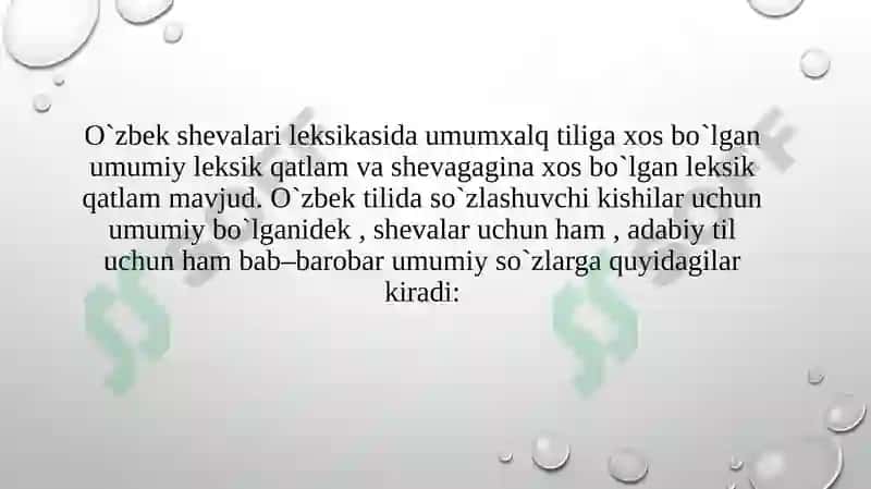 O'zbek tili shevalari leksikasi 4