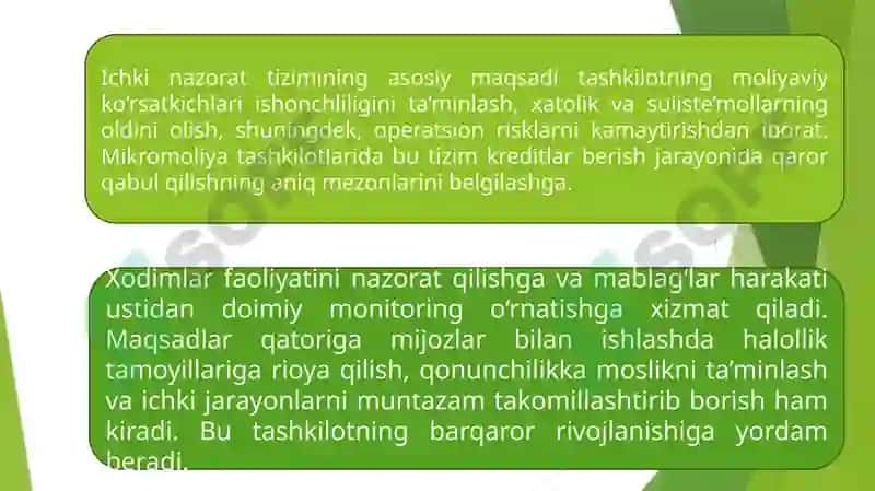 Mikromoliya tashkilotlarida ichki nazorat tizimi 4
