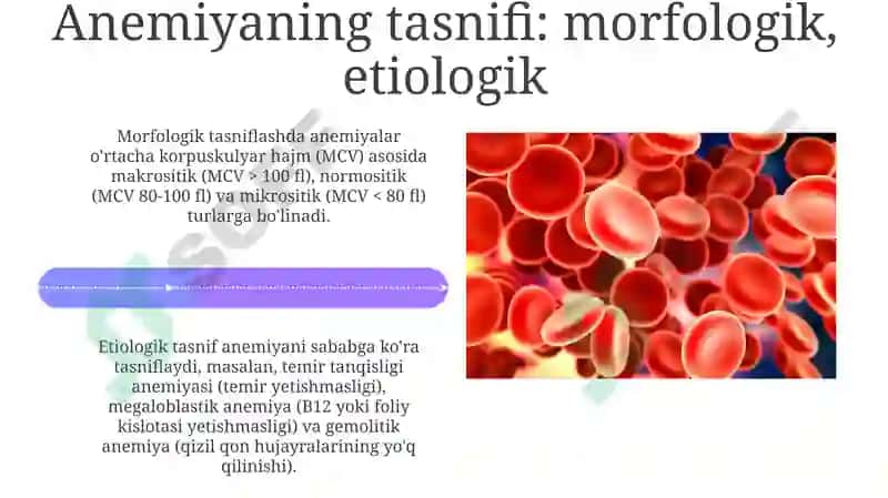 Anemiya turlari va sabablari 4