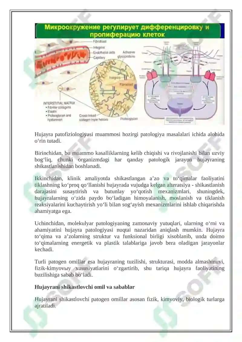 Hujayra patofiziologiyasi 4