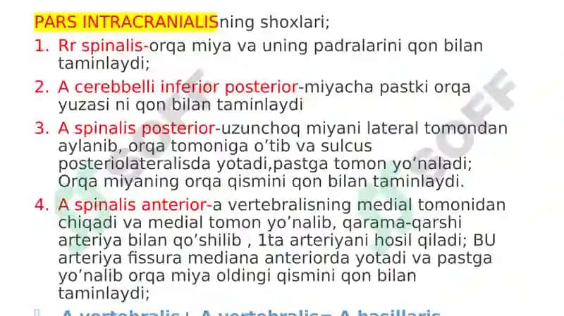 A subclavicula-O’mrov osti arteriyasi 4