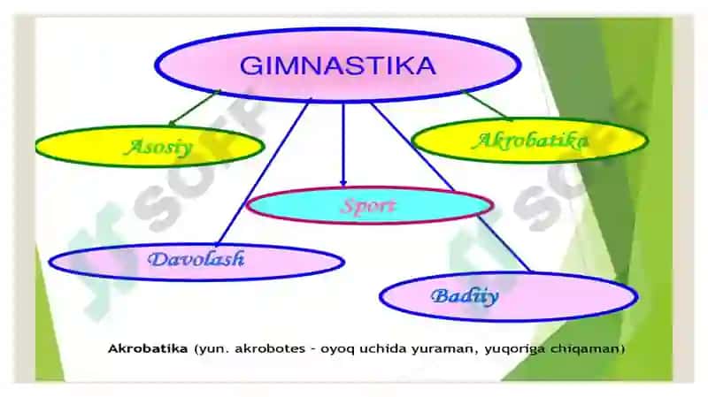 Gimnastikava uni o’qitish. 4