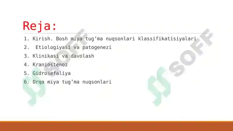 Bosh miya va orqa miyaning tug’ma rivojlanish nuqsonlari 4