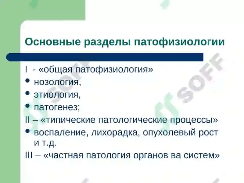 Введение в патофизиологию 4