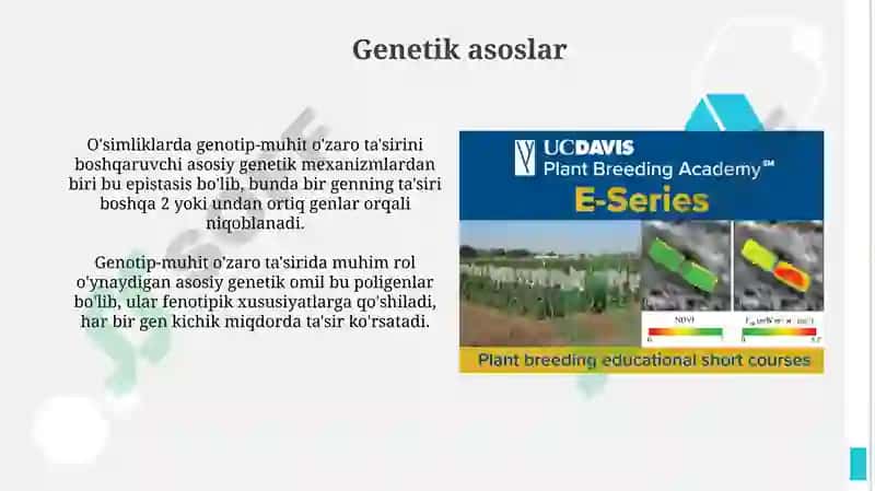 Genotip va muhitning oʻzaro taʼsir (oʻsimliklar boʻyicha) 4