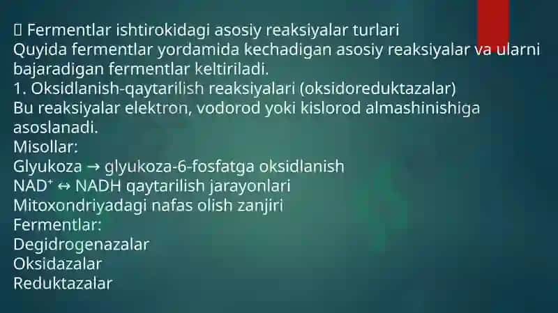 taqdimot 4