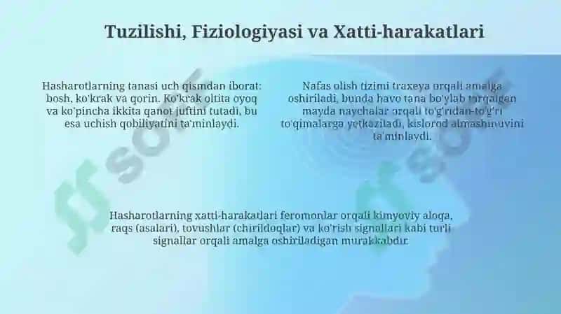Hasharotlar: Ta'rif va Turlari 4