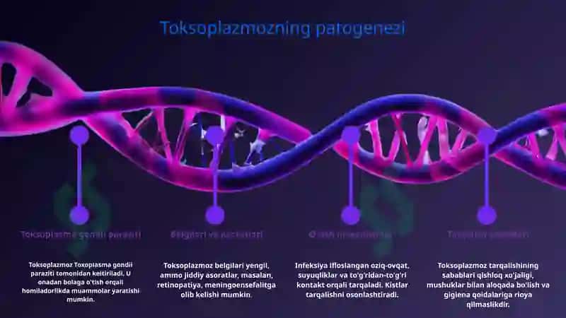TORCH INFEKSIYALARI, PATOGENEZI, DIAGNOSTIKASI 4