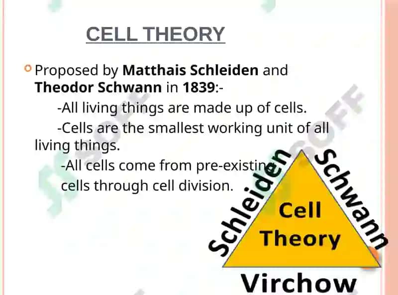 Cells 4