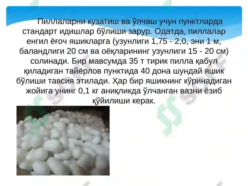 Тирик пиллаларни қабул қилиш 4