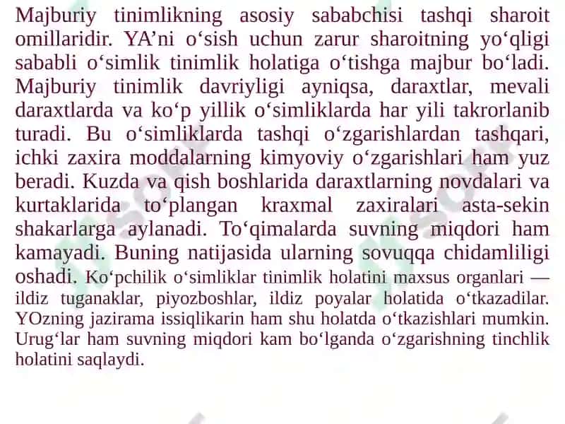 O‘simliklarning harakatlari 4