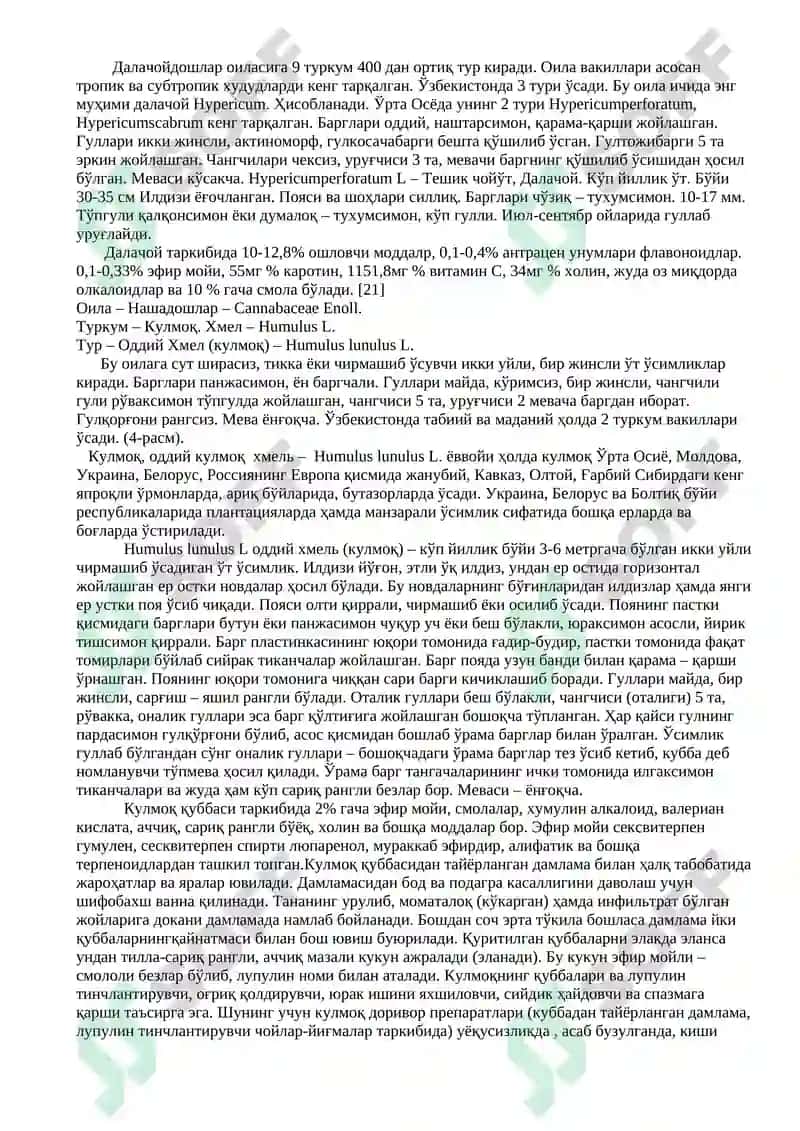 Эфир мойли ўсимликлар 4