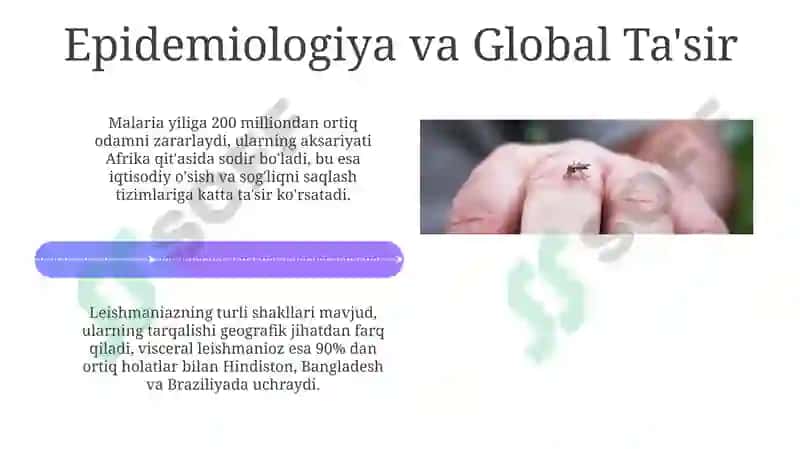 Parazitar Infektsiyalar 4