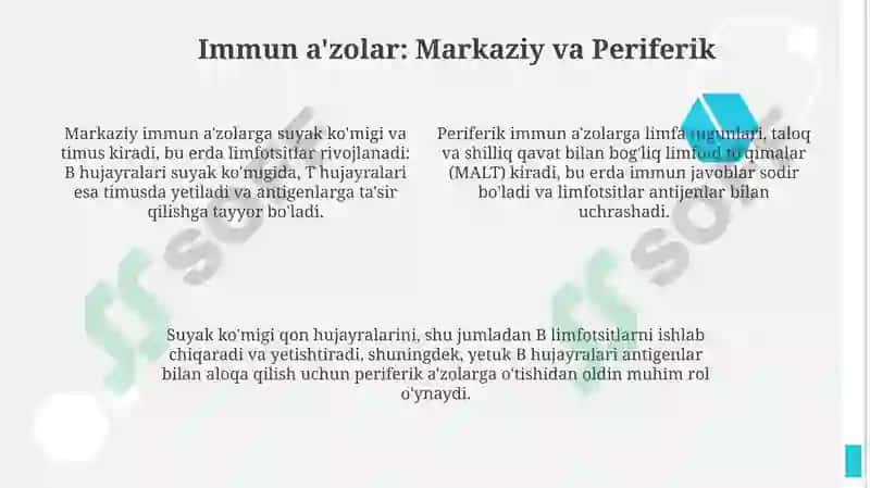 Immunitet tushunchasi va turlari 4