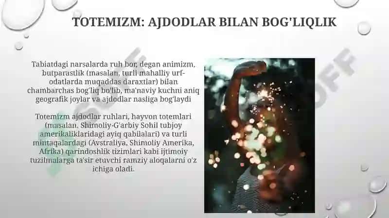 Animizm va Totemizm 4
