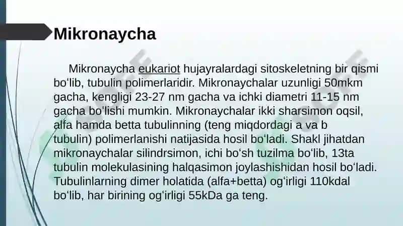 Hujayra sitoskeletining strukturaviy va funksional tashkili 4