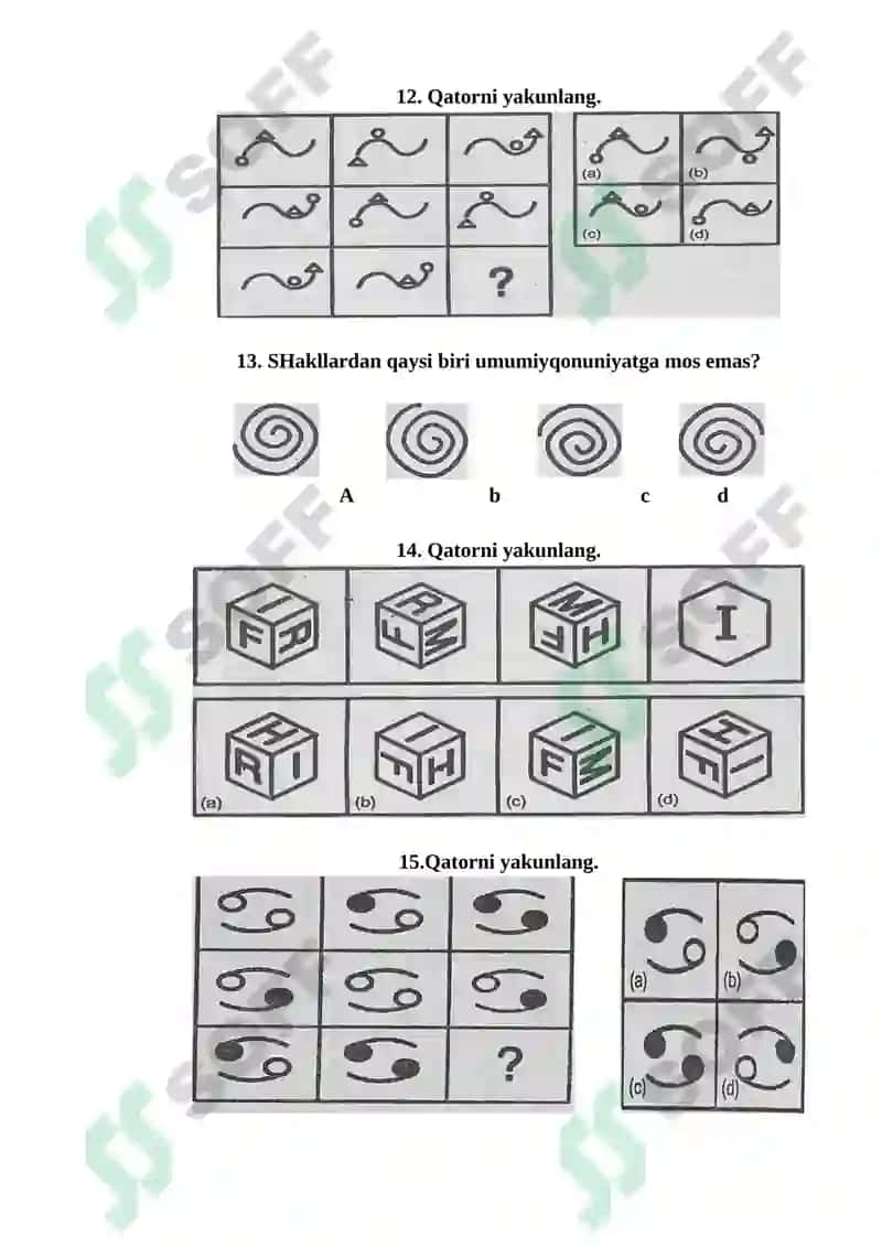 VIZUAL INTELLEKTNI O‘RGANISH TESTI 4