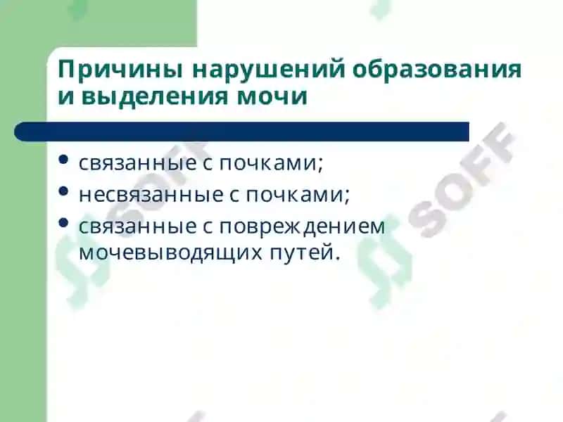 Патофизиология почек 4