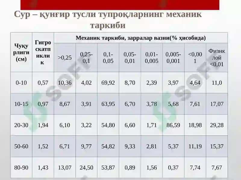 Гидроморфтупроқлар. Чўл зонаси тупроқлари 4