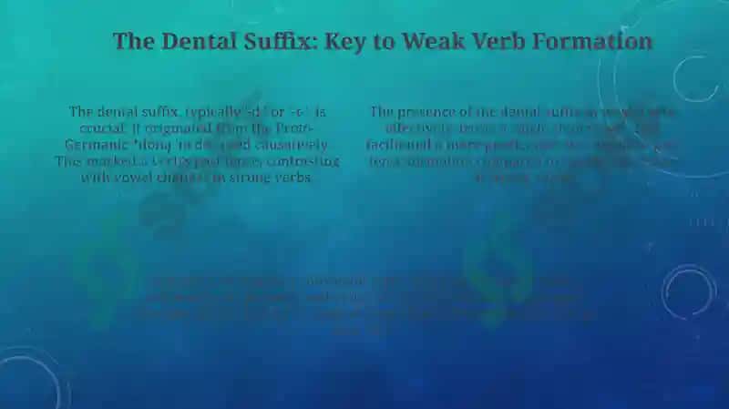The development of weak verbs 4
