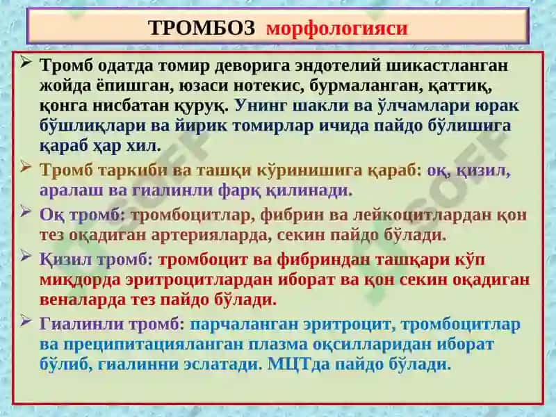 ПАТОЛОГИК АНАТОМИЯ 4
